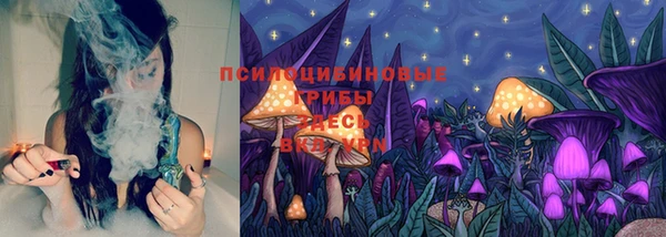 спайс Вяземский