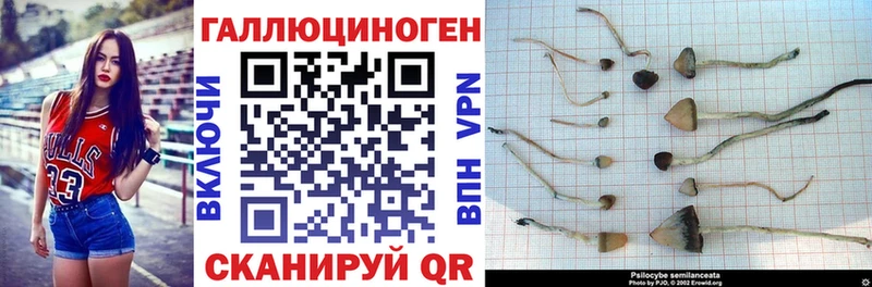 мега ССЫЛКА Кызыл Псилоцибиновые грибы GOLDEN TEACHER